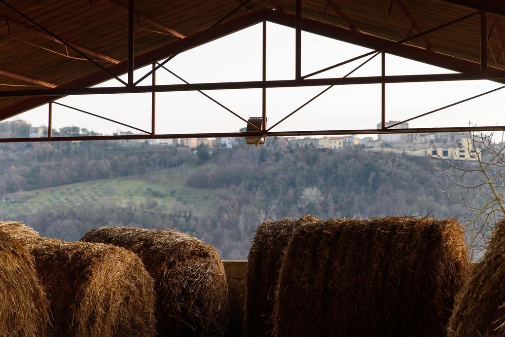 La Tenuta - Resort Agricolo Casaprota Esterno foto