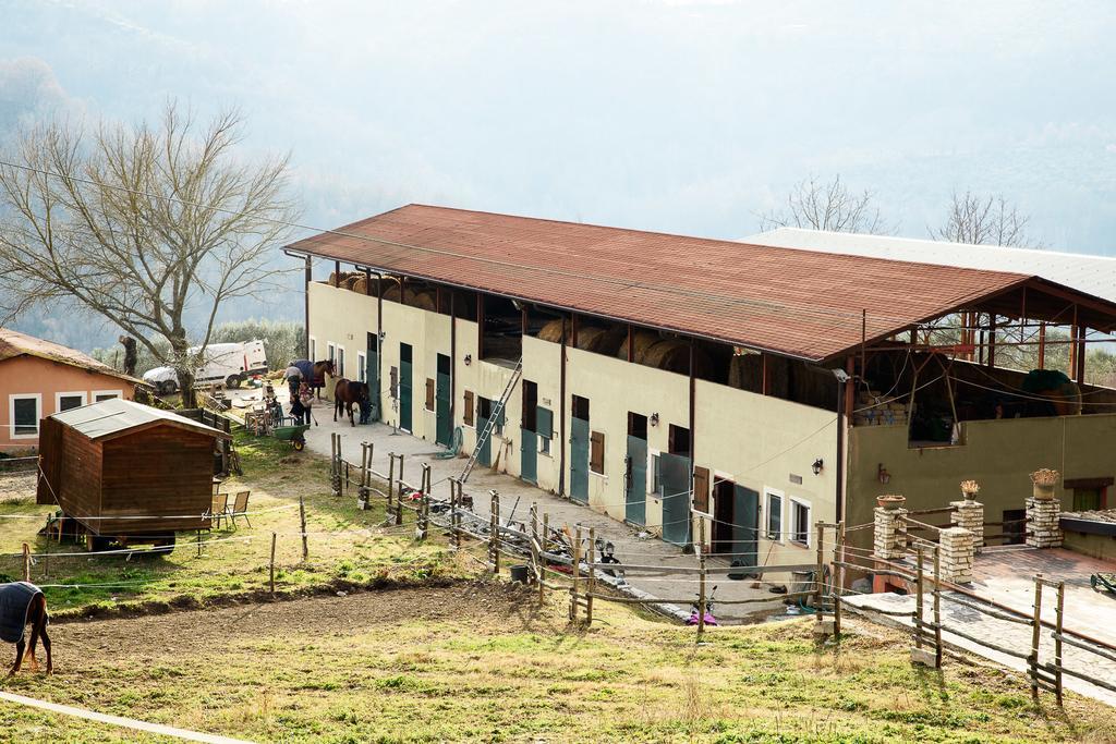 La Tenuta - Resort Agricolo Casaprota Esterno foto