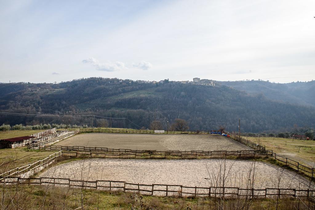 La Tenuta - Resort Agricolo Casaprota Esterno foto